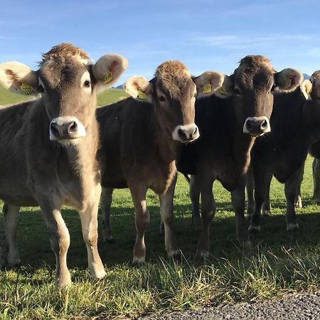 Ferienwohnung Am Kurpark Oy-Mittelberg Buitenkant foto