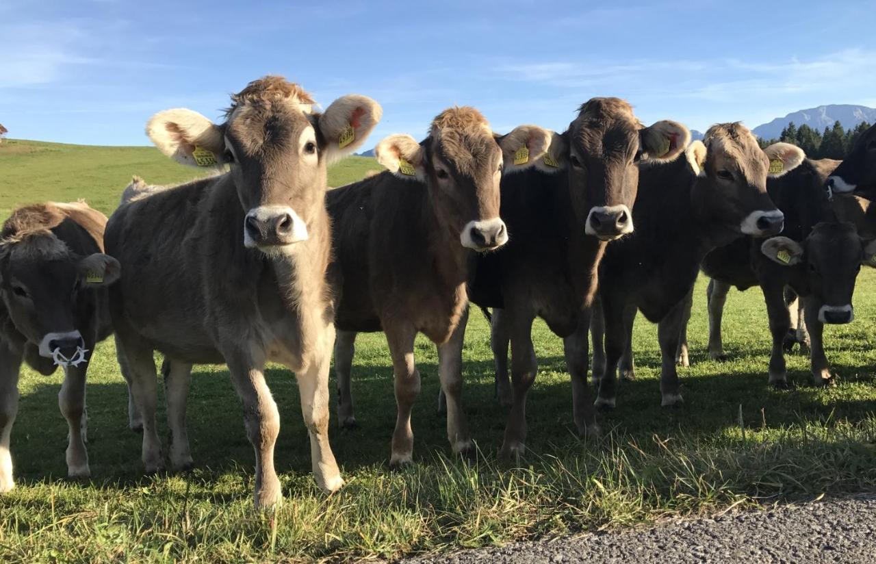 Ferienwohnung Am Kurpark Oy-Mittelberg Buitenkant foto